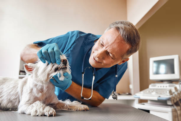 Best 24-Hour Emergency Dentist in Lake Belvedere Estates, FL